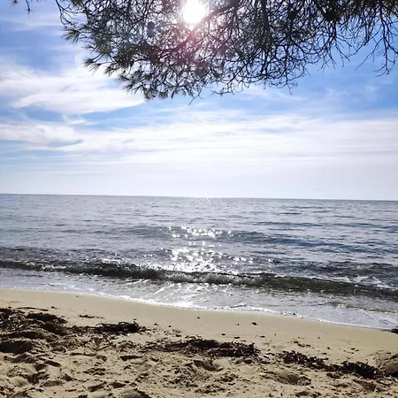 Holiday home Cozy In The Woods Next To The Sea , 7 Sleeps