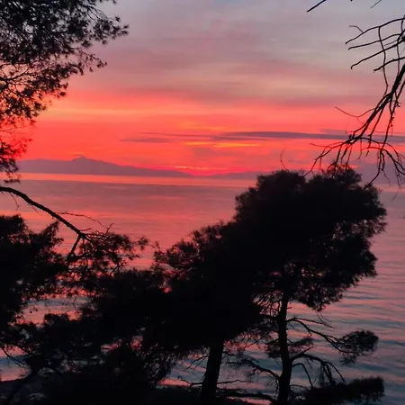 Cozy In The Woods Next To The Sea , 7 Sleeps * Elani